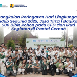 Rangkaian Peringatan Hari Lingkungan Hidup Sedunia 2025, Jasa Tirta I Bagikan 500 Bibit Pohon pada CFD dan Ikuti Kegiatan di Pantai Gemah